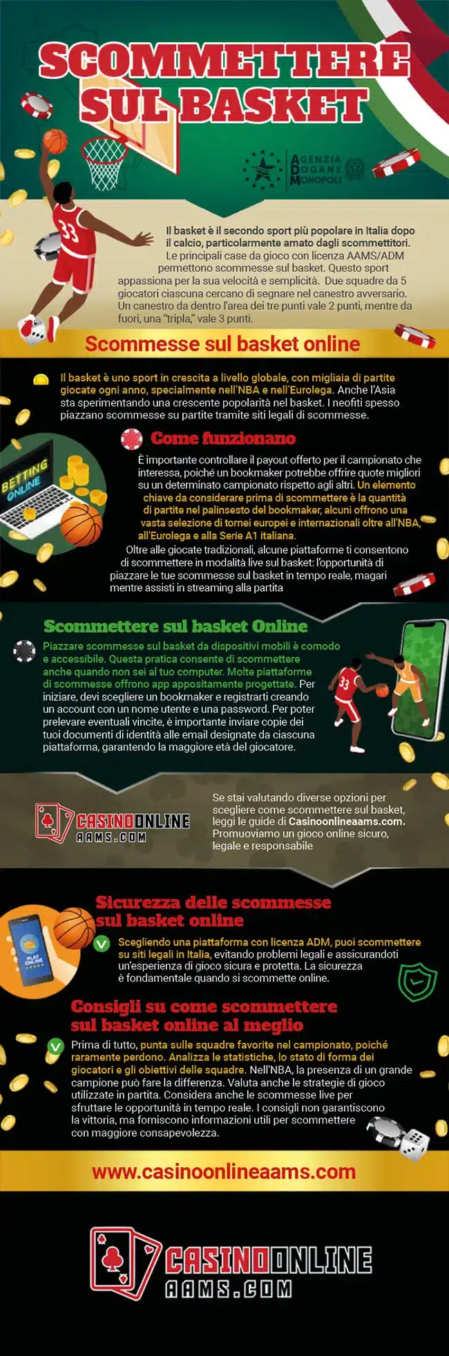 Infografica sul Gioco del Basket