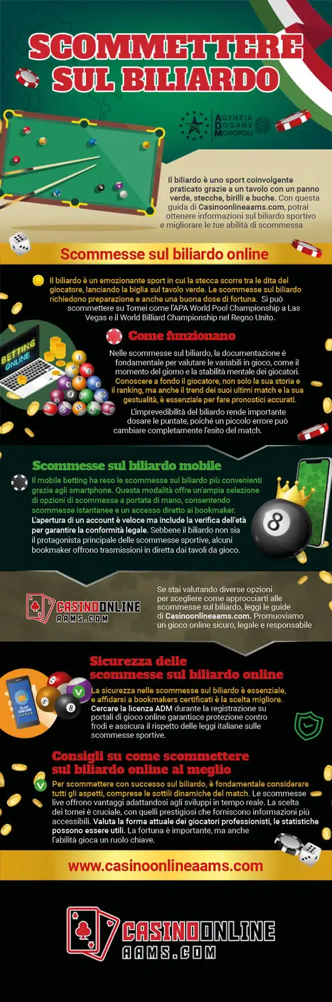 Infografica sul Gioco del Biliardo