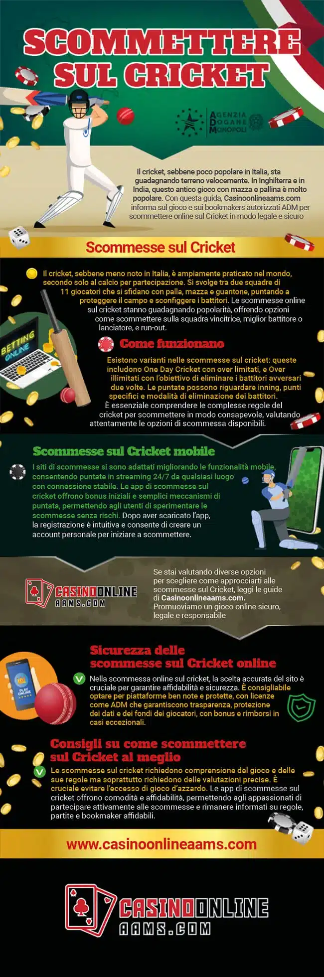 Infografica sul Gioco del Cricket