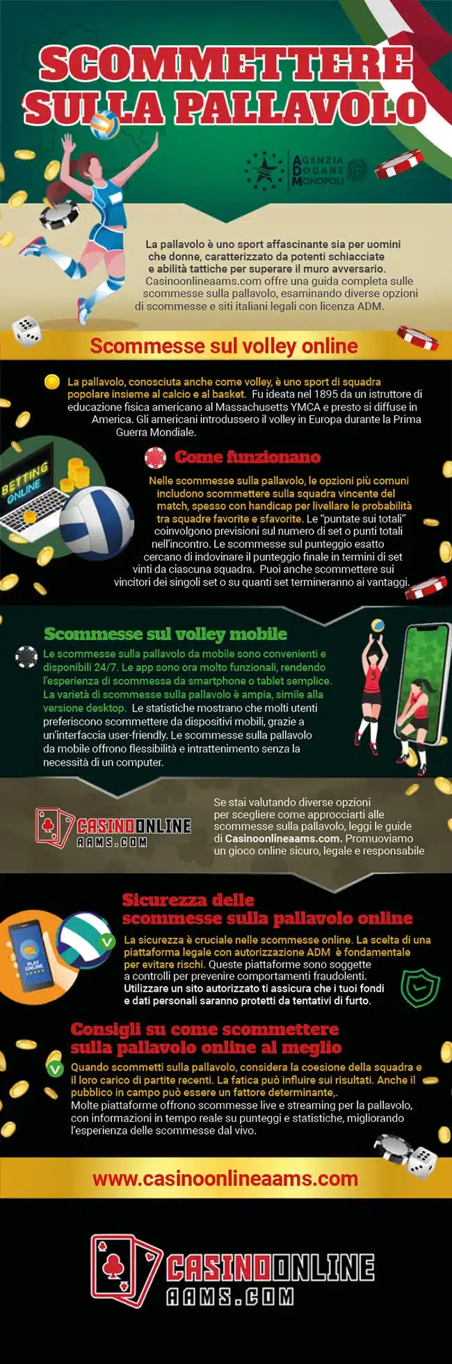 Infografica sullo Sport del Volley