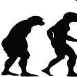 mondo del gioco sempre in evoluzione