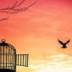 gioco azzardo vuole essere libero come in un tempo passato