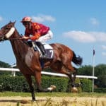 gioco azzardo ed ippica si dovrebbero sostenere a vicenda per cercare di migliorare